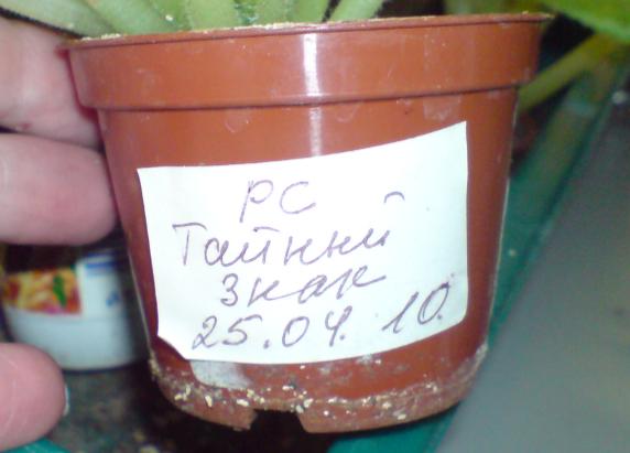 этикетка 2.JPG
