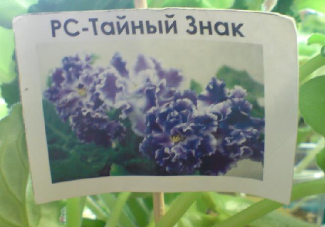 Этикетка.JPG