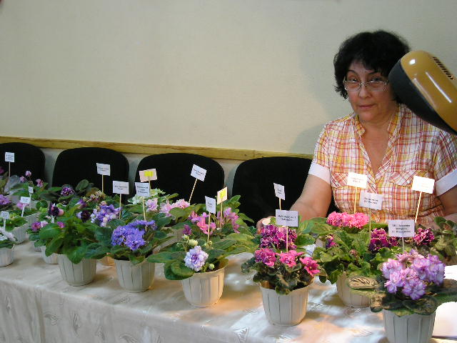 P1010070.JPG