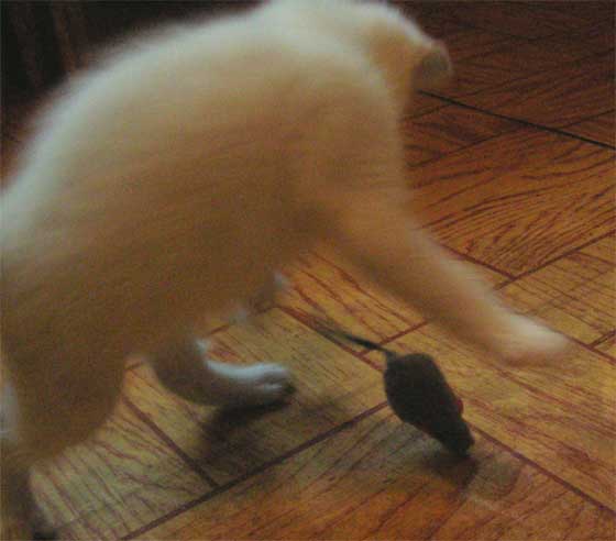 Untitled-1.jpg