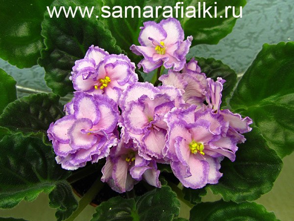 ПТ-Апрельский денёк