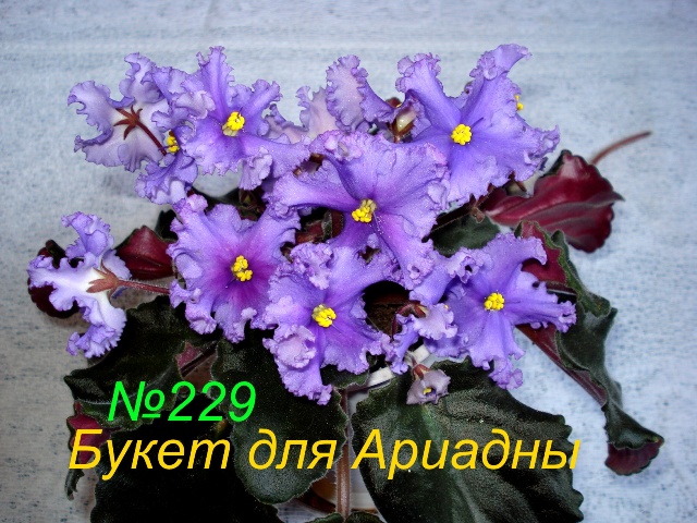 Копия 229 Букет для Ариадны.JPG