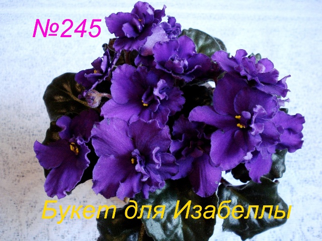 Копия 245 Букет для Изабеллы.JPG