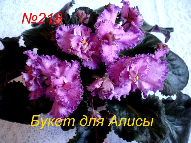 Копия 218 Букет для Алисы.JPG