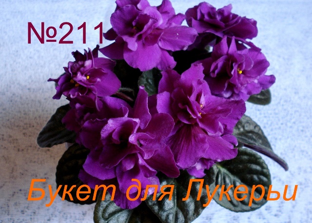 Копия 211 Букет для Лукерьи.JPG