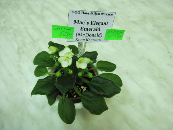 Mac's-Elegant-Emerald.jpg