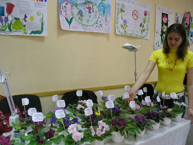 P1010063.JPG