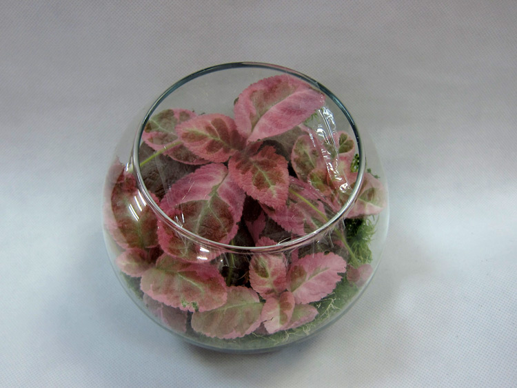 Pink-Smoke.jpg