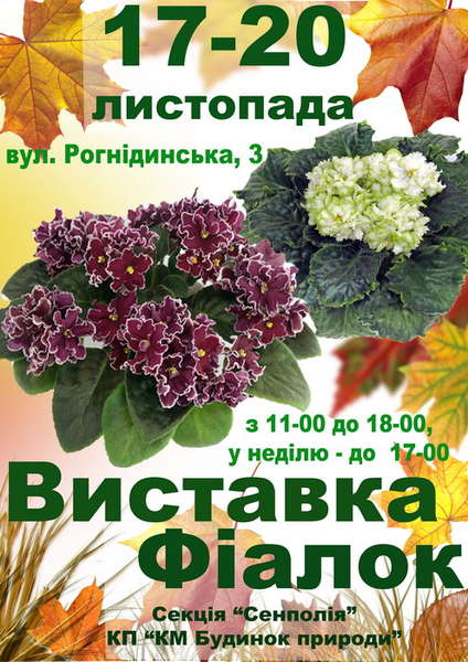 выставка.jpg