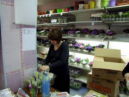 2011_12150016.jpg