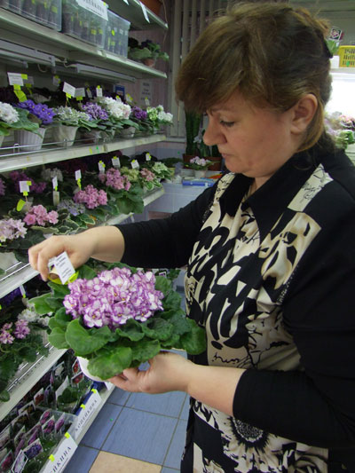 2011_12150030.jpg