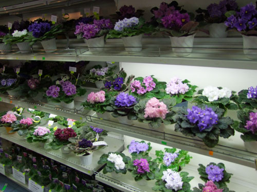 2011_12150027.jpg
