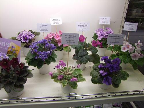 2011_12150130.jpg