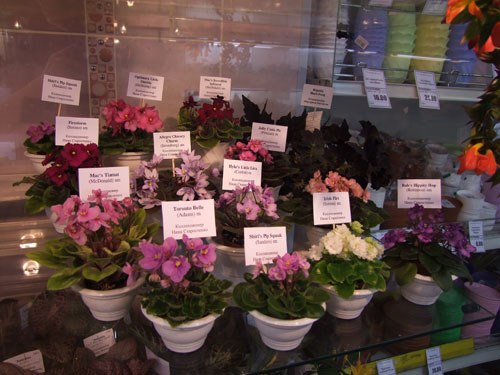 2011_12150265.jpg