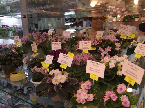 2011_12150272.jpg