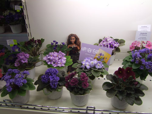 2011_12150128.jpg