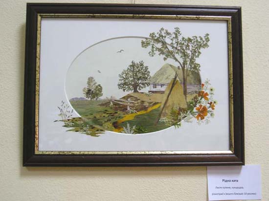 P1010001--------.jpg