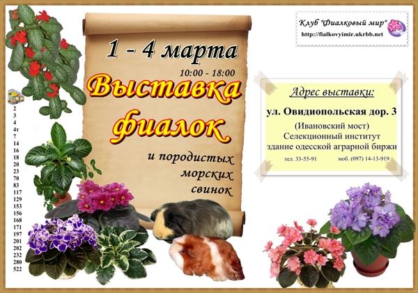 афиша - альбомный лист.jpg
