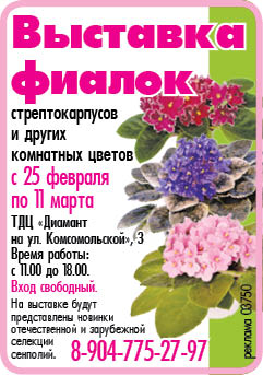 09-12-fialka-03750 (1).jpg