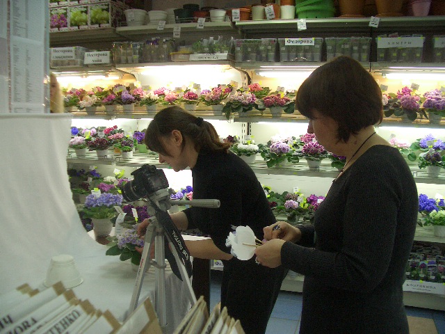 CIMG0400.JPG