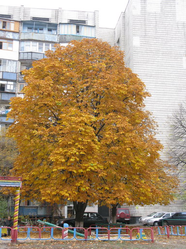 IMG_03832.jpg