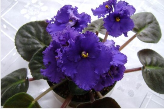 2012-03-23_102809.jpg