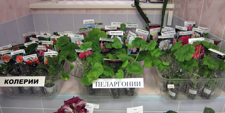 разное.jpg