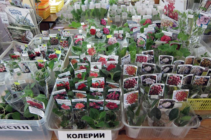 разное-1.jpg