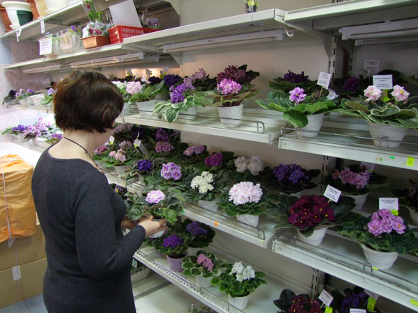 полки4.jpg