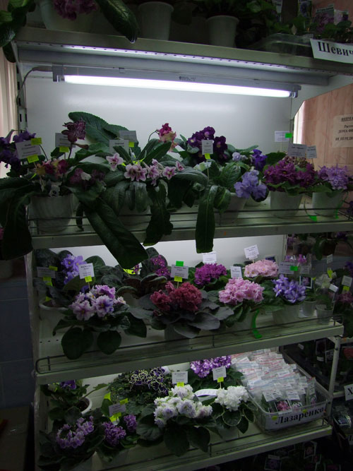 полки6.jpg