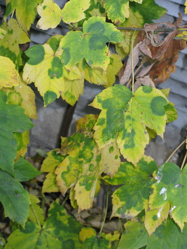 IMG_04562.jpg