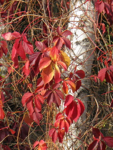 IMG_01442.jpg