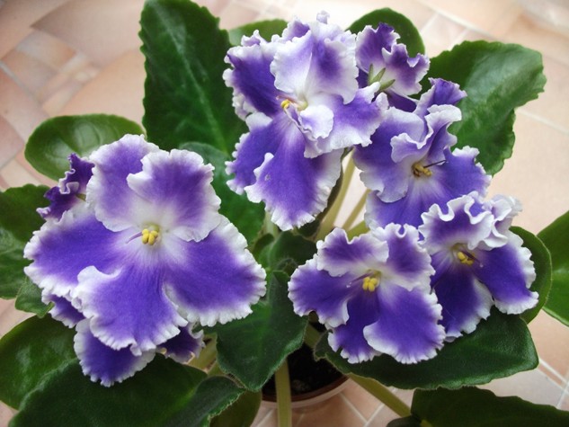 DSCF3038 (Копировать).jpg