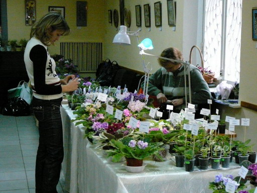 P10207661.jpg