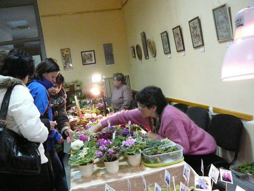 P10207901.jpg