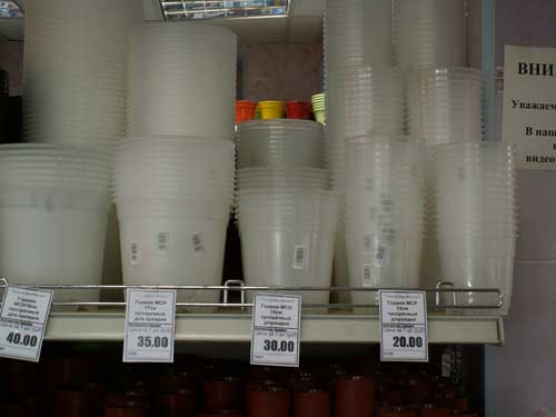 m2.jpg