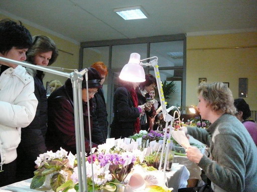 P10207941.jpg