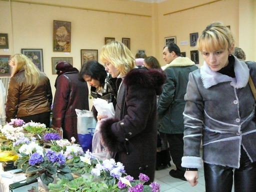 P10207911.jpg