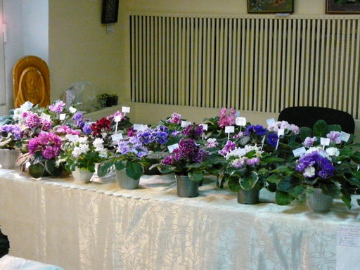 P10207681.jpg