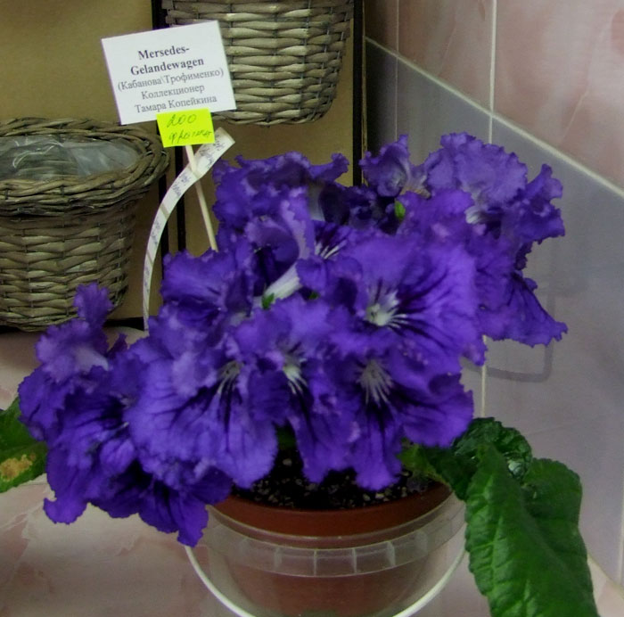 2012_06190087.jpg