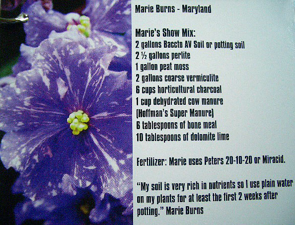 Marie Burns.JPG