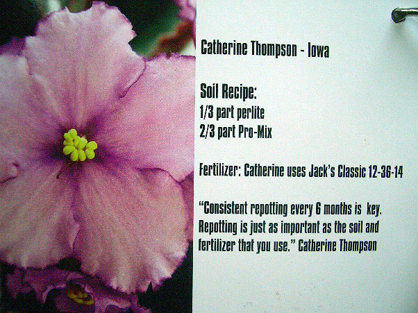 Catherine Thompson.JPG