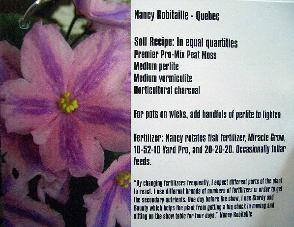 Nancy Robitaille.JPG
