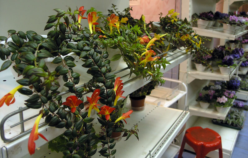 P6298423.JPG