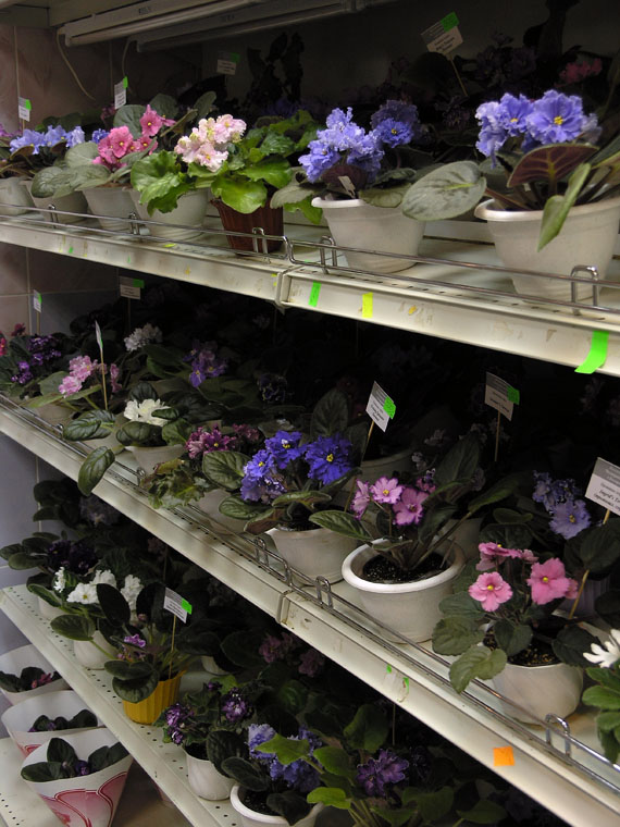 P6298430.JPG