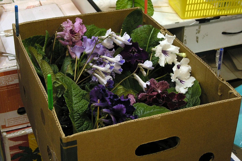 P6298436.JPG
