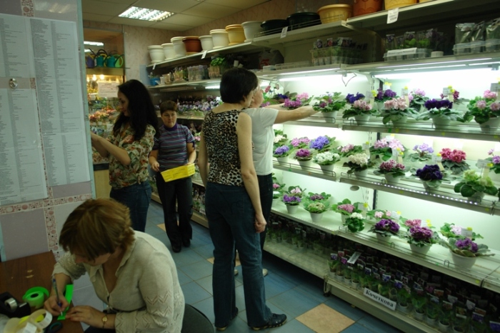DSC02575.jpg