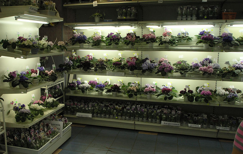 P8239169.JPG