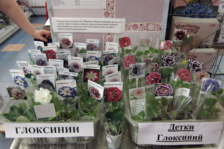 разное-2.jpg