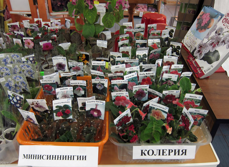 разное-1.jpg